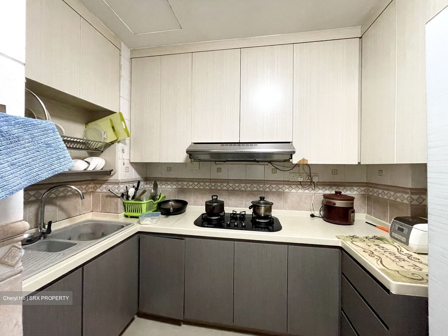 Regent Park (D5), Condominium #489620641